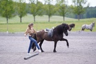 ”Intrinzenin upeana sivutuotteena tulee ihmisen ja hevosen välisen suhteen paraneminen, koska dynamiikka ihmisen ja hevosen välillä muuttuu täysin verrattuna tavalliseen paineella kouluttamiseen”, kertoo Beatrice Skärström-Masson.  Kuva: Blanca Köhler