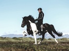 Moninkertainen Islannin ja maailmanmestari Thorarinn Eymundsson opastaa ratsukoita ja katsojia aitoon tasapainoon ja kokoamiseen marraskuussa Kangasalla.