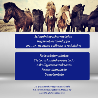 Inspiroidu islanninhevosesta - koko viikonlopun ajan!