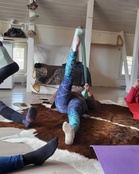 Kuva: Saarikylien Islanninhevoset