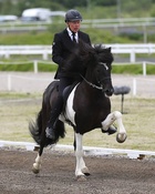 Þórarinn "Tóti" Eymundsson 
FT riding master 
Riding instructor at the university in Holar for 20 years
Multiple Icelandic and World Champion
