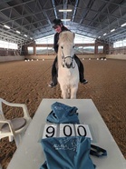 Annika Kyrklund, Ratsastuskouluyrittäjä Iso-Tuomiston tallilla, FEIF II -ohjaaja ja hevosten kouluttaja